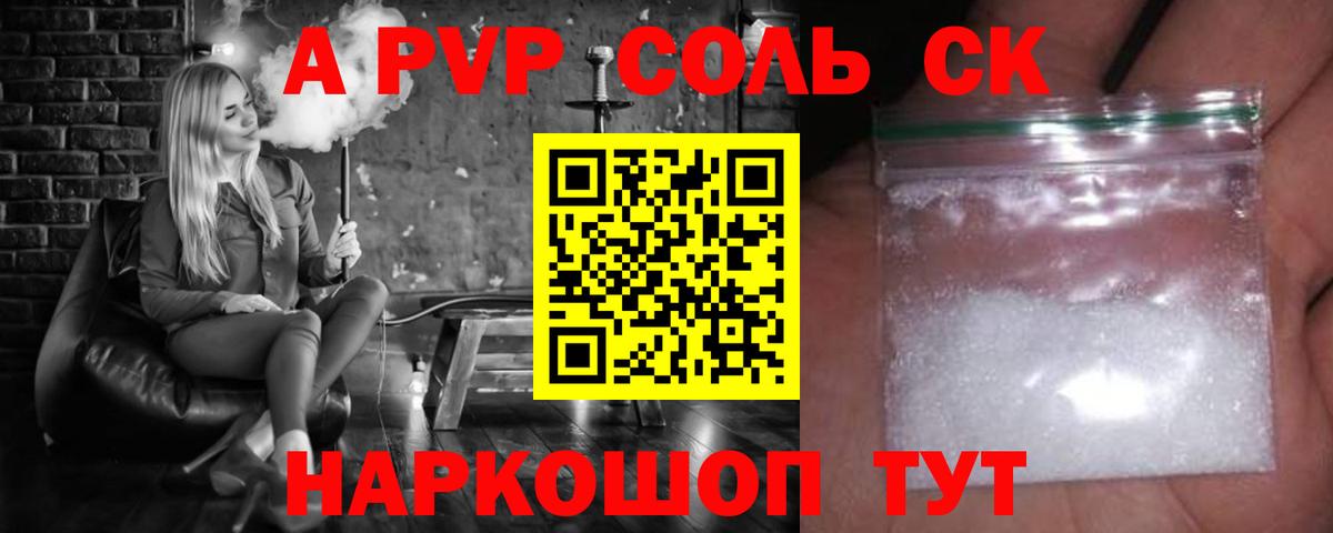 A PVP СК КРИС Сыктывкар