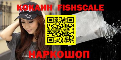 гидра Новодвинск