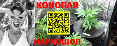 мдпв Новокубанск