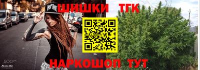гидра Новодвинск