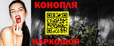 гидра Новодвинск
