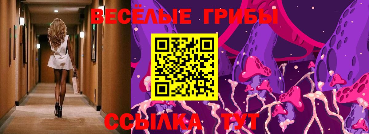 Псилоцибиновые грибы Psilocybe Сыктывкар